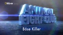 Animal Fight Club - S3E5  Killer Clashes