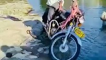 New viral funny video