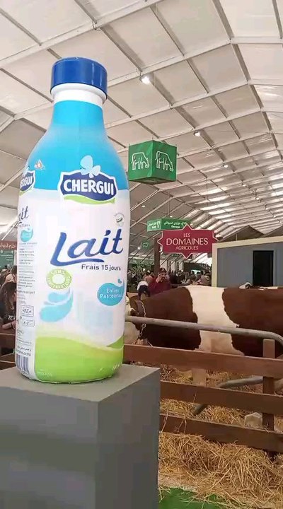 salon international d'agriculture de Meknès