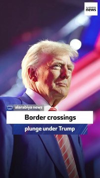 Texas GOP chair: Border crossings plunge under Trump