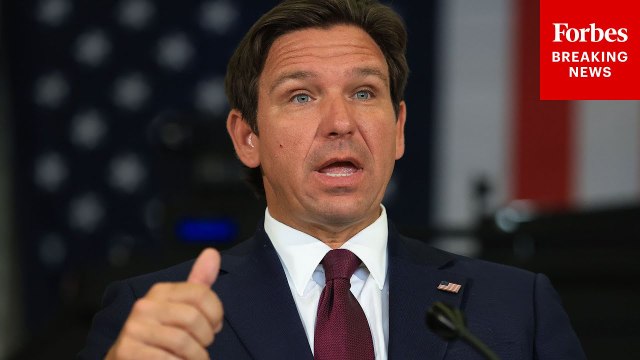 Ron DeSantis: This Is Why Deporting Illegal Immigrants Is Not 'Punishment'