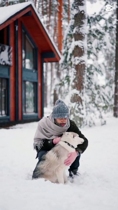 Playing With Husky dog