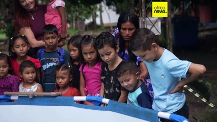 Hope floats in the Amazon as young manatee Bacuri fights for survival