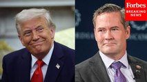 Michael Waltz Praises 'Strength' Of President Trump's Leadership During Cabinet Meeting
