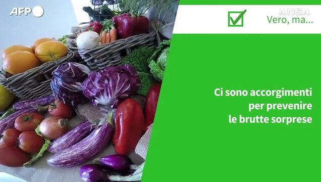 Ansa VERIFIED - Possono i cibi di origine vegetale provocare focolai di malattie a trasmissione alimentare?