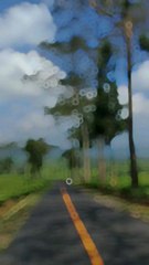 the atmosphere is pleasing to the eye