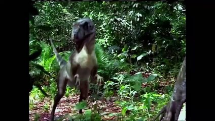 Caminhos do Coração 1ª Temp. Cap. 205