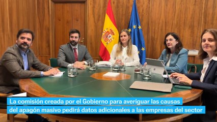 La comisión creada por el Gobierno pedirá información a las empresas eléctricas