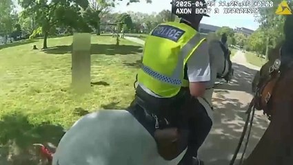Video: Moment out-of-control dog tries to bite police horses on patrol