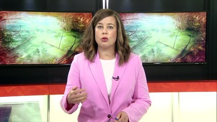 TVA Nouvelles CIMT 12h 1er mai 2025