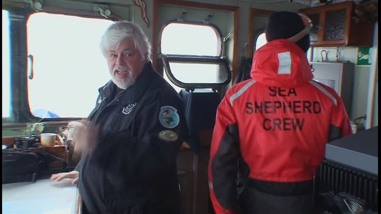 Whale Wars S02e06 Bereit Zum Angriff