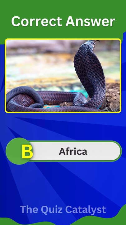 Black Cobra Quiz: Can You Score 4/4? 🐍💀 | Venomous Snake Trivia Challenge for USA Viewers!