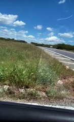 Motorista solicita roço de mato em rotatória que liga a BR-230 a Quixaba-PB e alerta para risco de acidentes