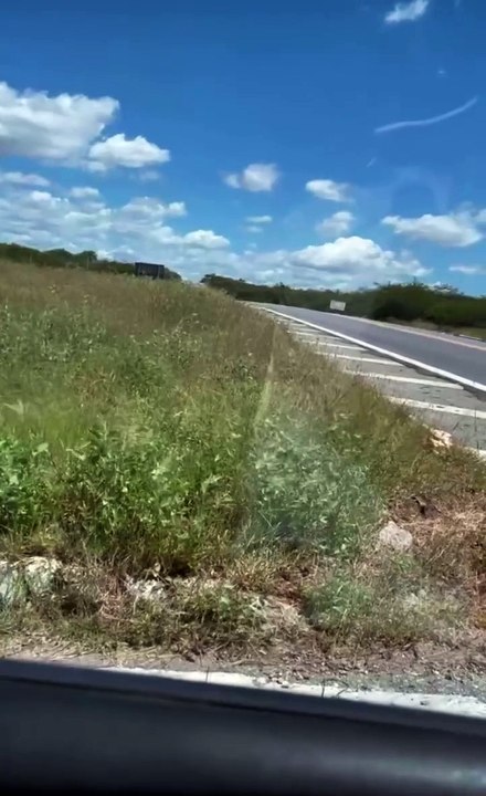 Motorista solicita roço de mato em rotatória que liga a BR-230 a Quixaba-PB e alerta para risco de acidentes