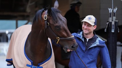 Jayson Werth's Flying Mohawk: A Long Shot in Kentucky Derby