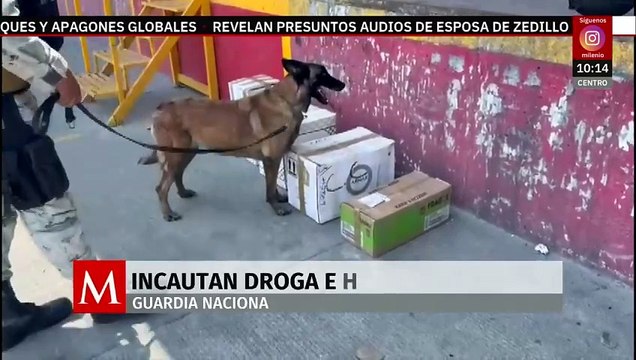 Guardia Nacional incauta drogas e hidrocarburos en Nuevo León