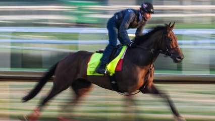 Burnham Square and Grande Stand Out in Kentucky Derby Preview