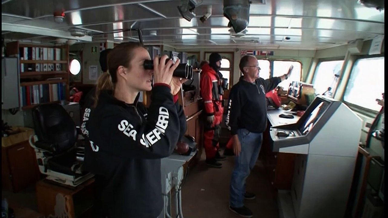 Whale Wars S02e11 Auf Kollisionskurs