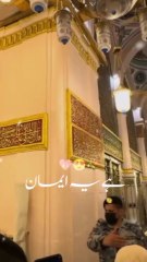 Tanhaa Nahi hone dete 😍😍