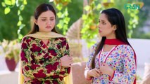 Na Tum Jano Na Hum Episode 22 (Subtitle) 1st May 2025   Hassan Khan - Hina Tariq   Green TV