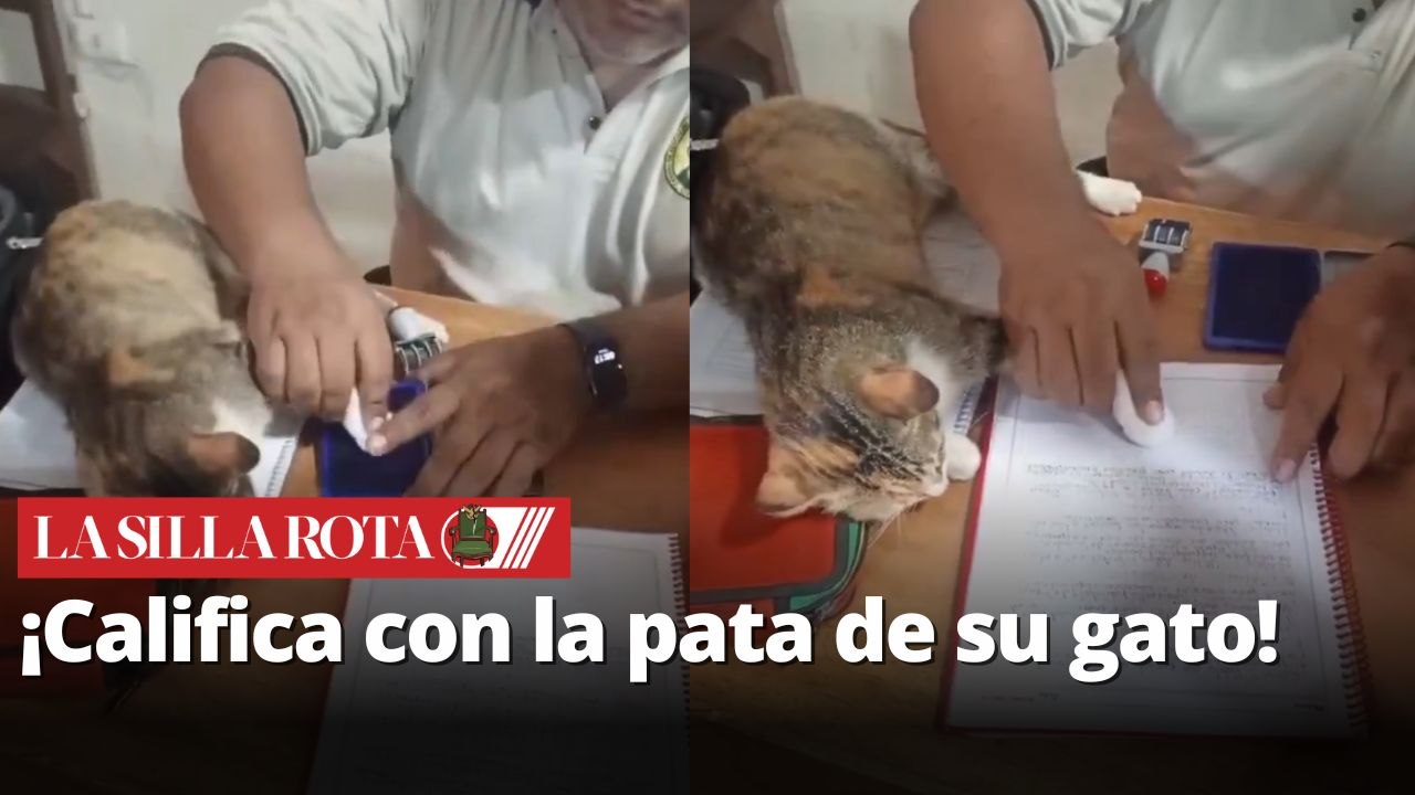Profesor sella tareas con la huella de su gato para motivar a sus alumnos