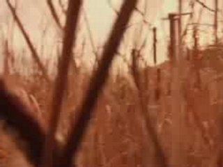 Late Fragment A guide to the Interactive experience?