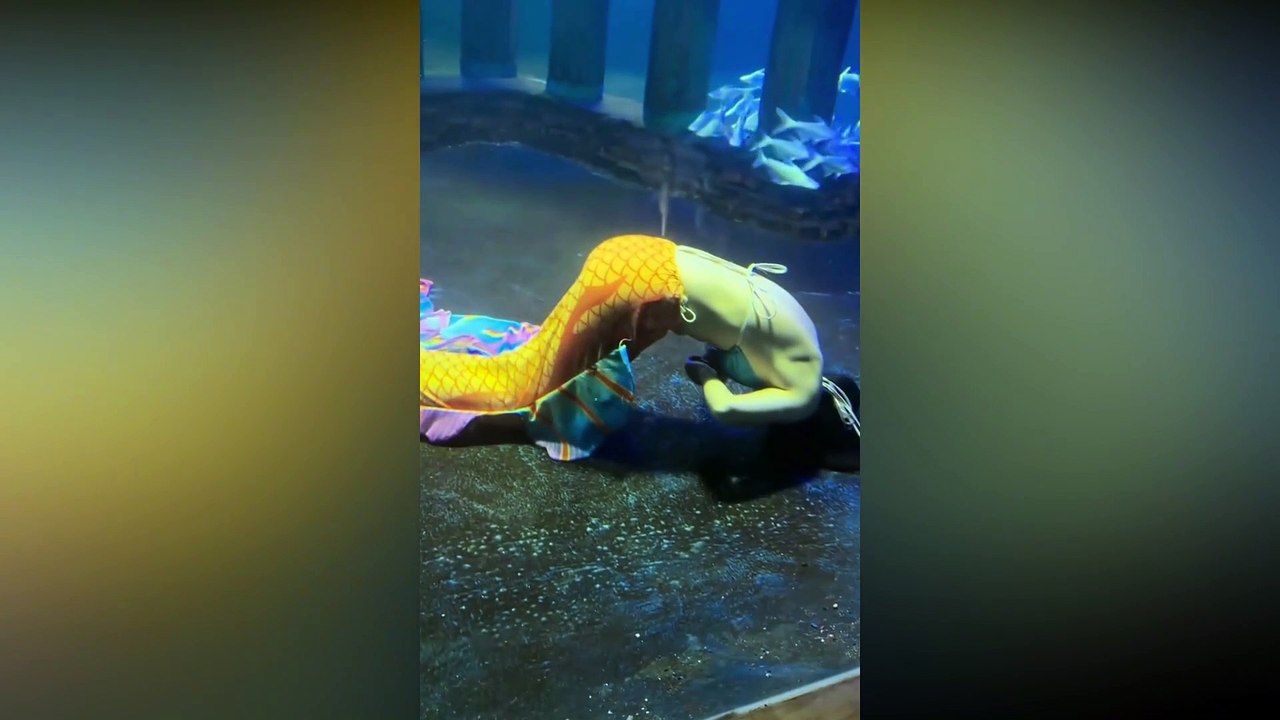 Une sirène perd connaissance dans un aquarium au milieu de son spectacle, des scènes choquantes circulent sur la Toile