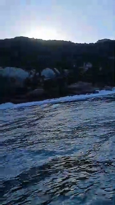 Homem cai de parapente na Praia do Gravatá em Florianópolis e mobiliza resgate de helicóptero