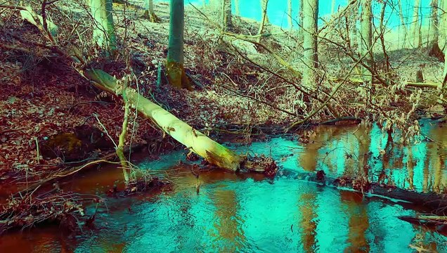 Discover the best nature sounds for relaxing with the crystal clear sound of water in amazing 4K quality! This video will take you to a peaceful place by a clear stream or lake, where the gentle murmur of water will calm your mind and help you relax. Feel