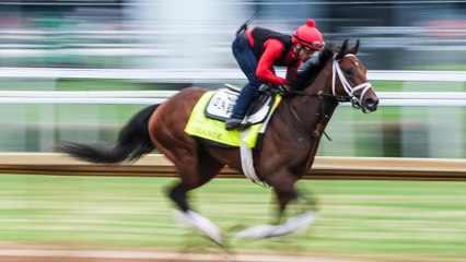 Strategic Betting on the Kentucky Derby with an Exotic Focus