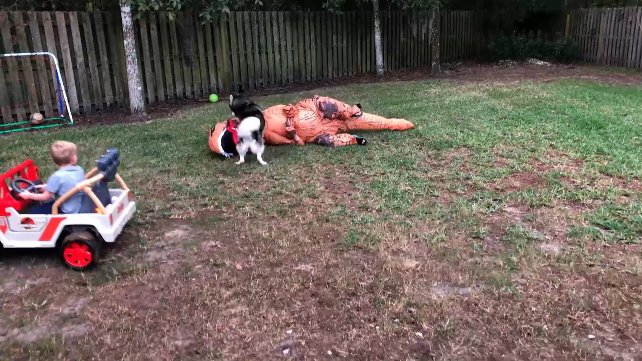 Try Not to Laugh
