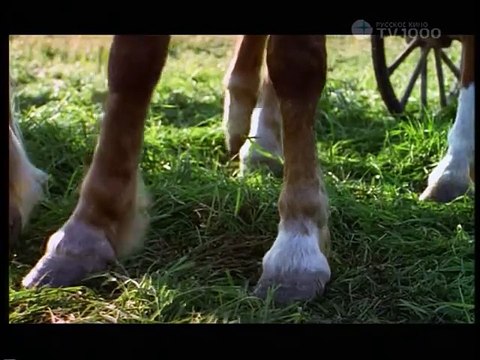 Интимная жизнь Севастьяна Бахова.