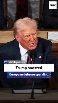 Republicans Overseas Chair: Trump boosted European defense spending