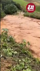 Dos hombres salvan vaca de morir ahogada en río Tireo crecido por lluvias