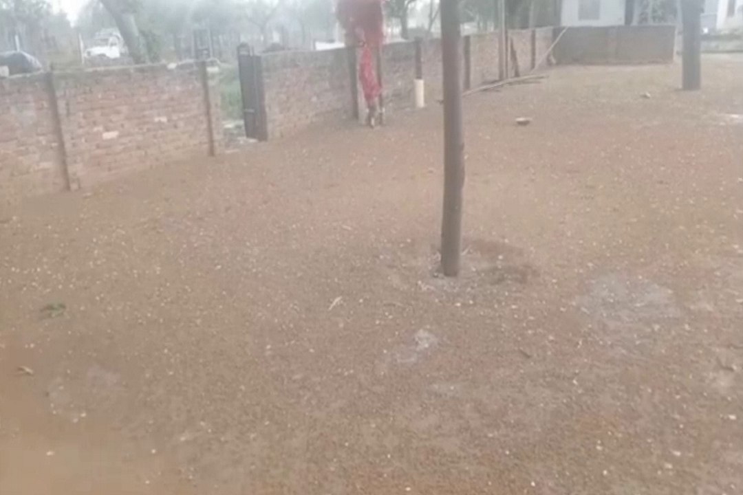 Jaipur Weather :  जयपुर में आज सवेरे अंधड़-बारिश का दौर, मौसम में घुली ठंडक
