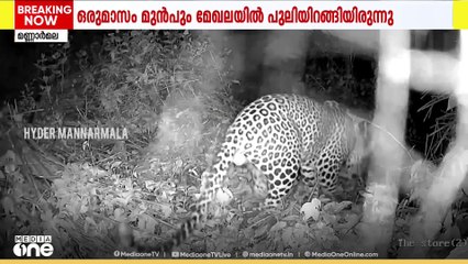 മലപ്പുറം പെരിന്തൽമണ്ണക്കടുത്ത് മണ്ണാർമലയിൽ വീണ്ടും പുലിയിറങ്ങി | leopard in mannarkkad