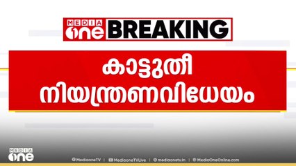 ഇസ്രായേലിനെ ഭീതിയിലാഴ്ത്തി പടർന്നു പിടിച്ച കാട്ടുതീ നിയന്ത്രണവിധേയമായി