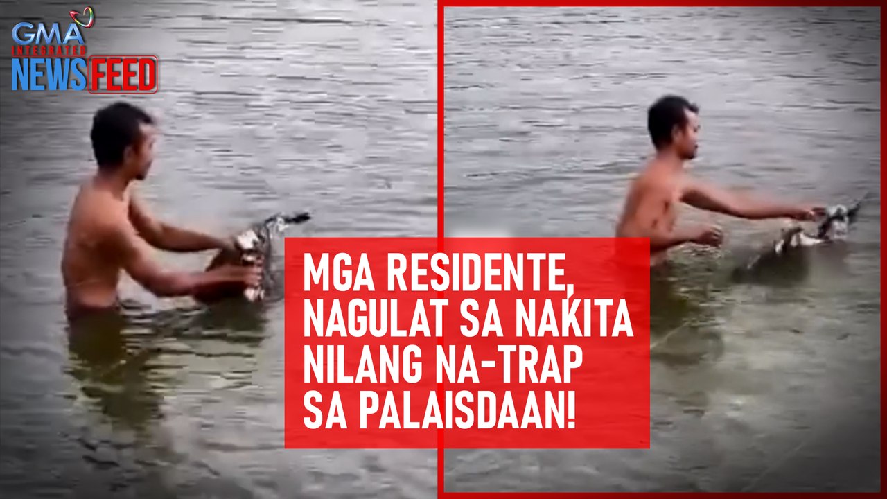 Mga residente, nagulat sa nakita nilang na-trap sa palaisdaan! | GMA Integrated Newsfeed