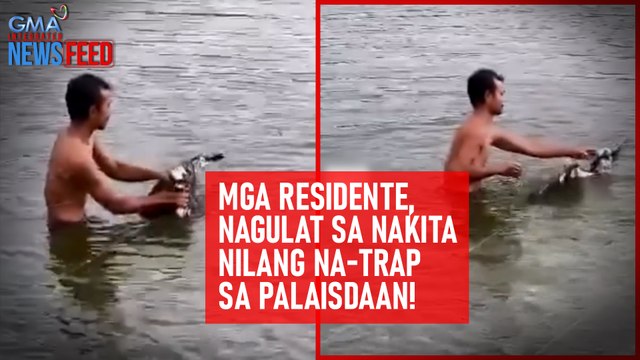 Mga residente, nagulat sa nakita nilang na-trap sa palaisdaan! | GMA Integrated Newsfeed