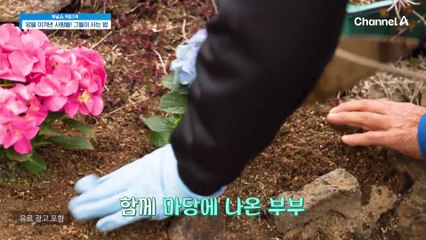 여전히 끝나지 않은 암과의 전쟁! 암 환자에게 중요한 면역력 관리