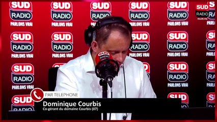 Les vignerons se réjouissent de l'autorisation d'épandre des produits phytosanitaires par drone