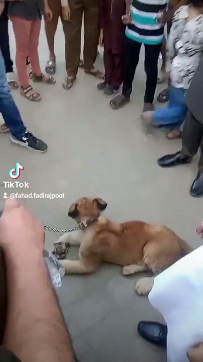 Waqat ka intzar kr Kuch kehl hi esa kehlonga zamana yad kre ga