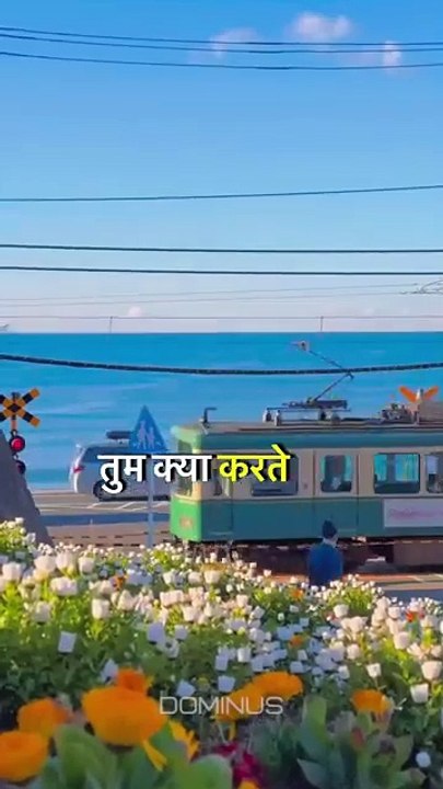 Chup_chap_apna_kam_karoo..❤️💯_#dominusig11#instagood#lifelessons#motivation#mindset#staystrong(360p)