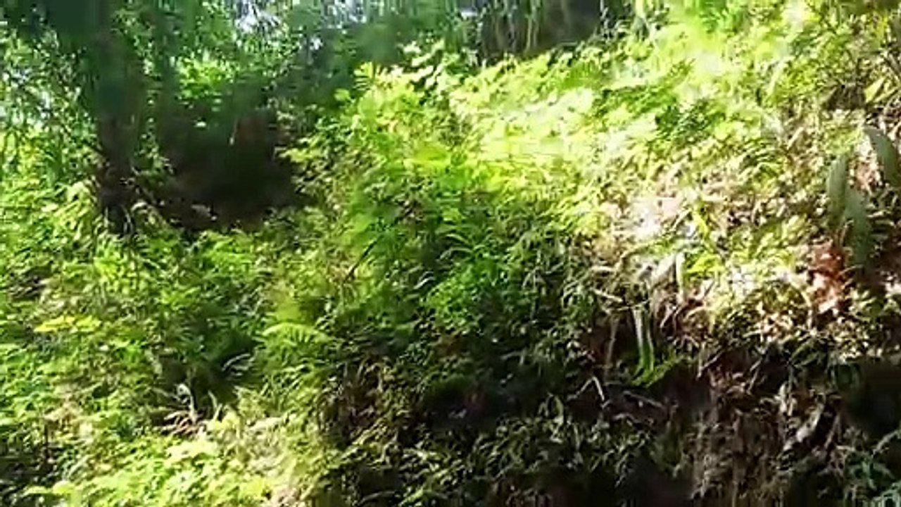 Sumber tidar malang