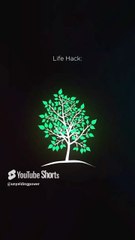 Rise & Inspire: Make a Rule and Follow This Rule To Get Success