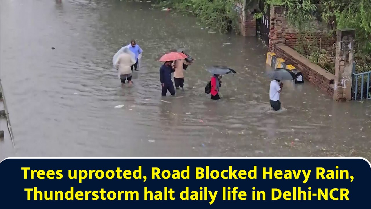 Trees uprooted, Road Blocked Heavy Rain, Thunderstorm halt daily life in Delhi-NCR