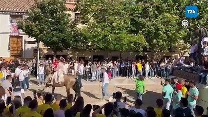 İspanya'da Los Caballos del Vino Festivali ile atların doğal güzellikleri sergilendi