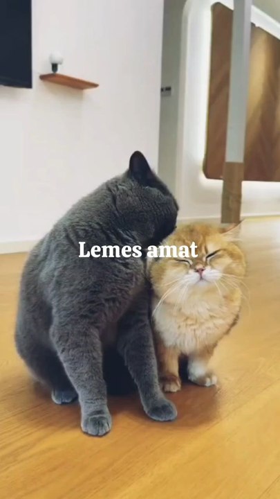 Romantic
