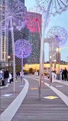 ❗️FREE ENTRY❗️Discover Sharjah’s Stunning New Canal Walk 🌊✨