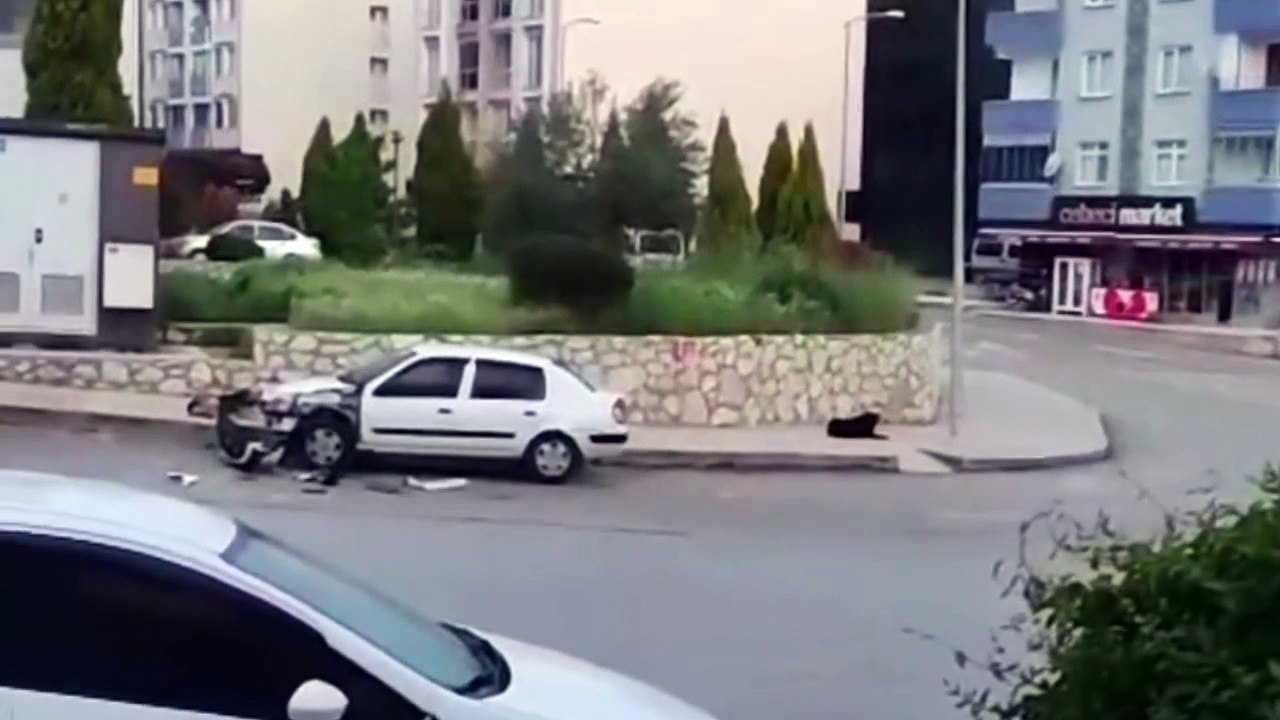 Başıboş köpekler park halindeki otomobili parçaladı
